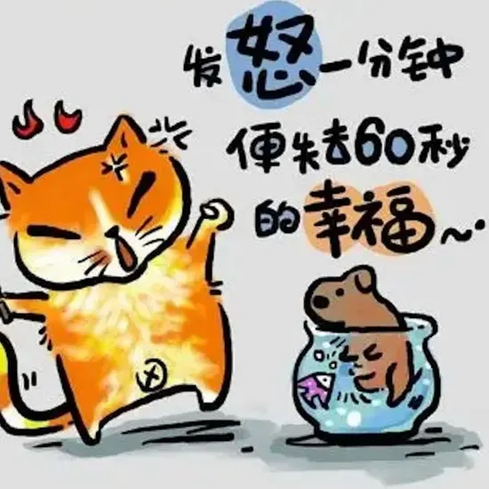 热门电视剧推荐
